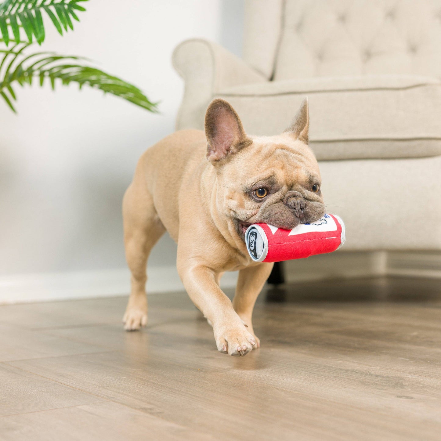 Huxley & Kent Tiny Tuff Boys Night Out