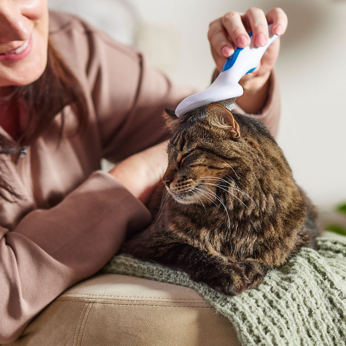 JW Cat Slicker Brush