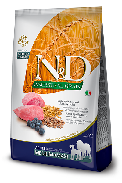 Farmina N&D Ancestral Grain Lamb & Blueberry Medium/Maxi Adult Dog Food