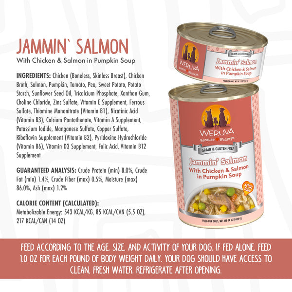 Weruva Jammin' Salmon Canned Dog Food 14-oz