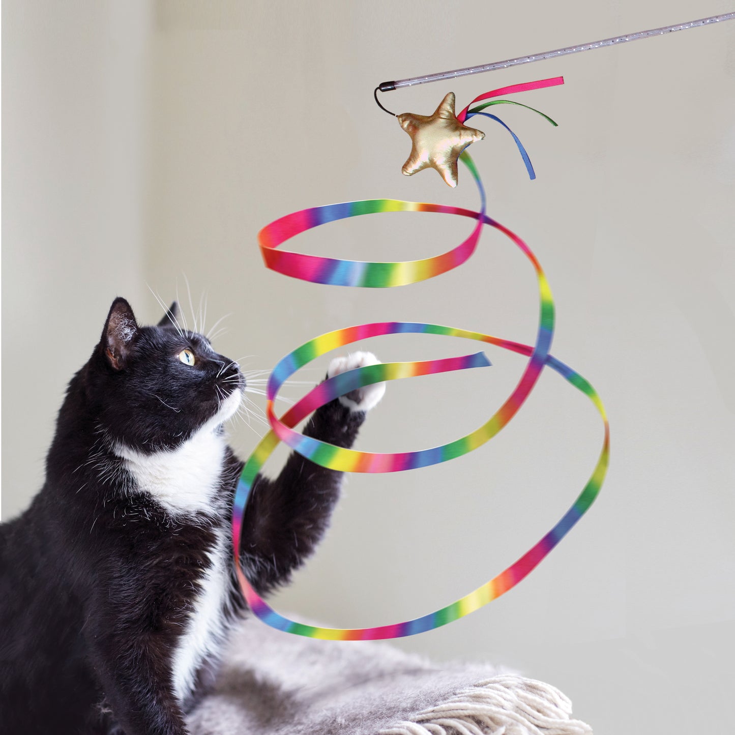 The KONG Company Stellar Teaser Cat Toy