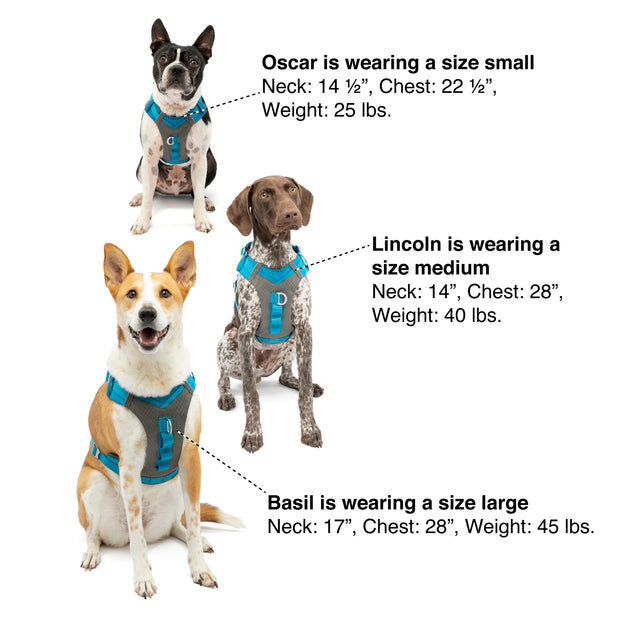 Kurgo Journey Air Harness Coral