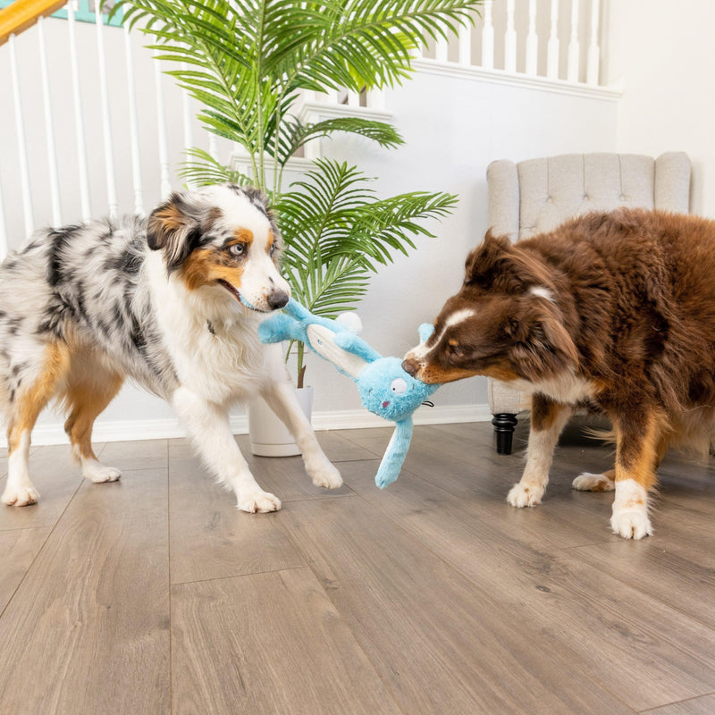 Huxley & Kent Dog Power Plush Betty Bunny