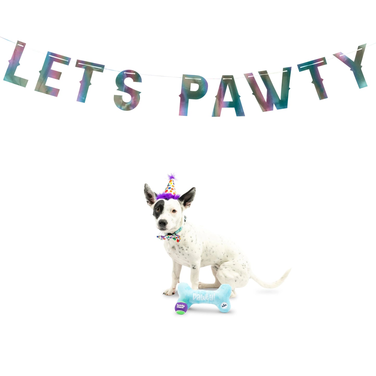 Huxley & Kent Let's Pawty Iridescent Celebration Banner