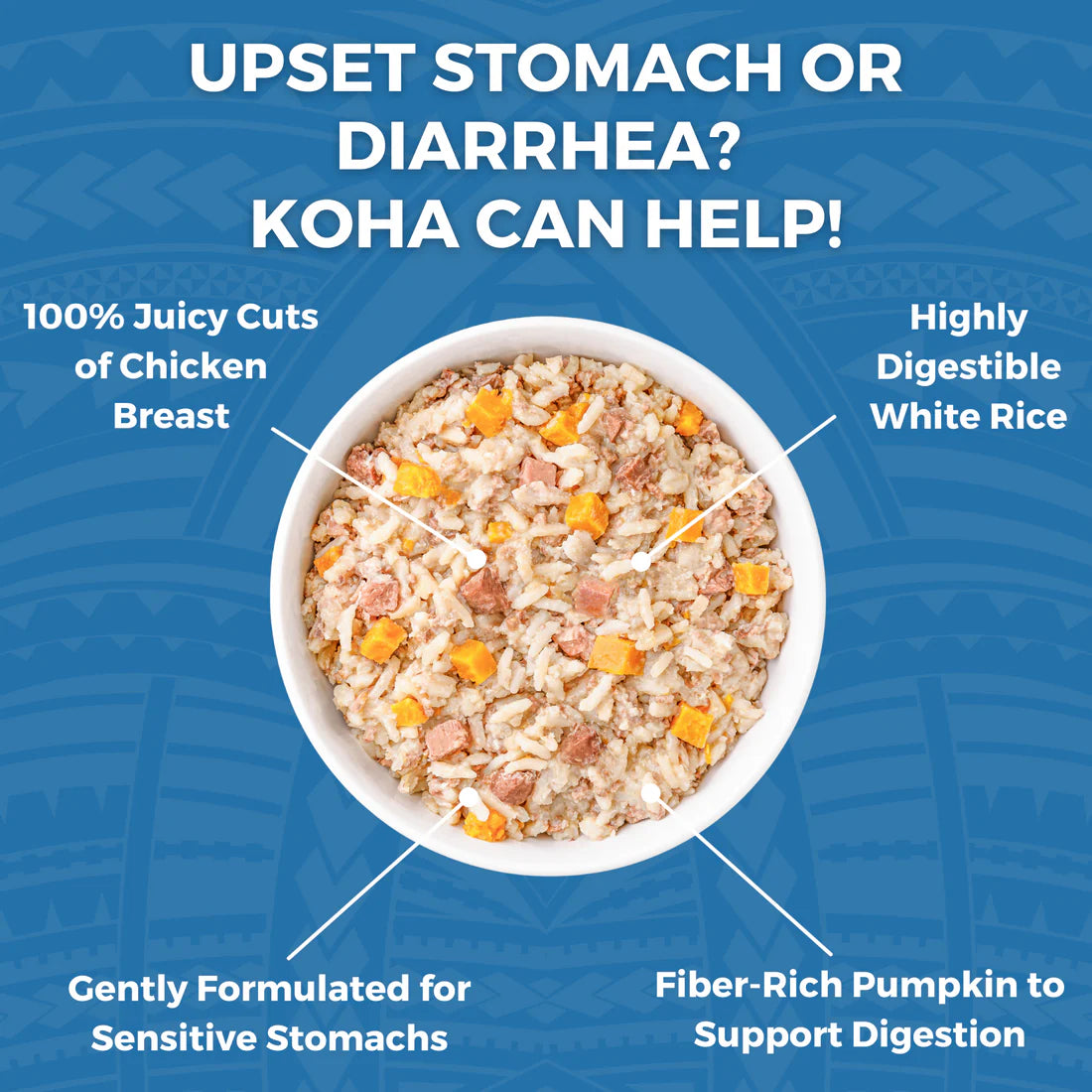 Koha Limited Ingredient Bland Diet Lamb & White Rice Recipe for Dogs