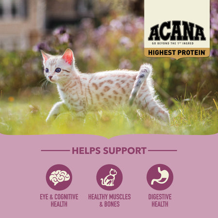 Acana Highest Protein Kitten Recipe 4lb