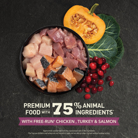 Acana Highest Protein Kitten Recipe 4lb