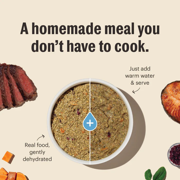 Honest Kitchen Wholemade Grain Free Chicken 10lb