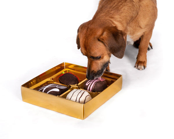 Fab Dog Toy Dogiva Chocolate Toys