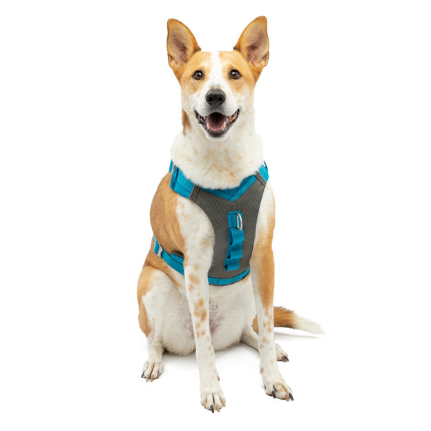 Kurgo Journey Air Dog Harness Black