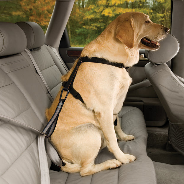 Kurgo Dog Seatbelt Loop