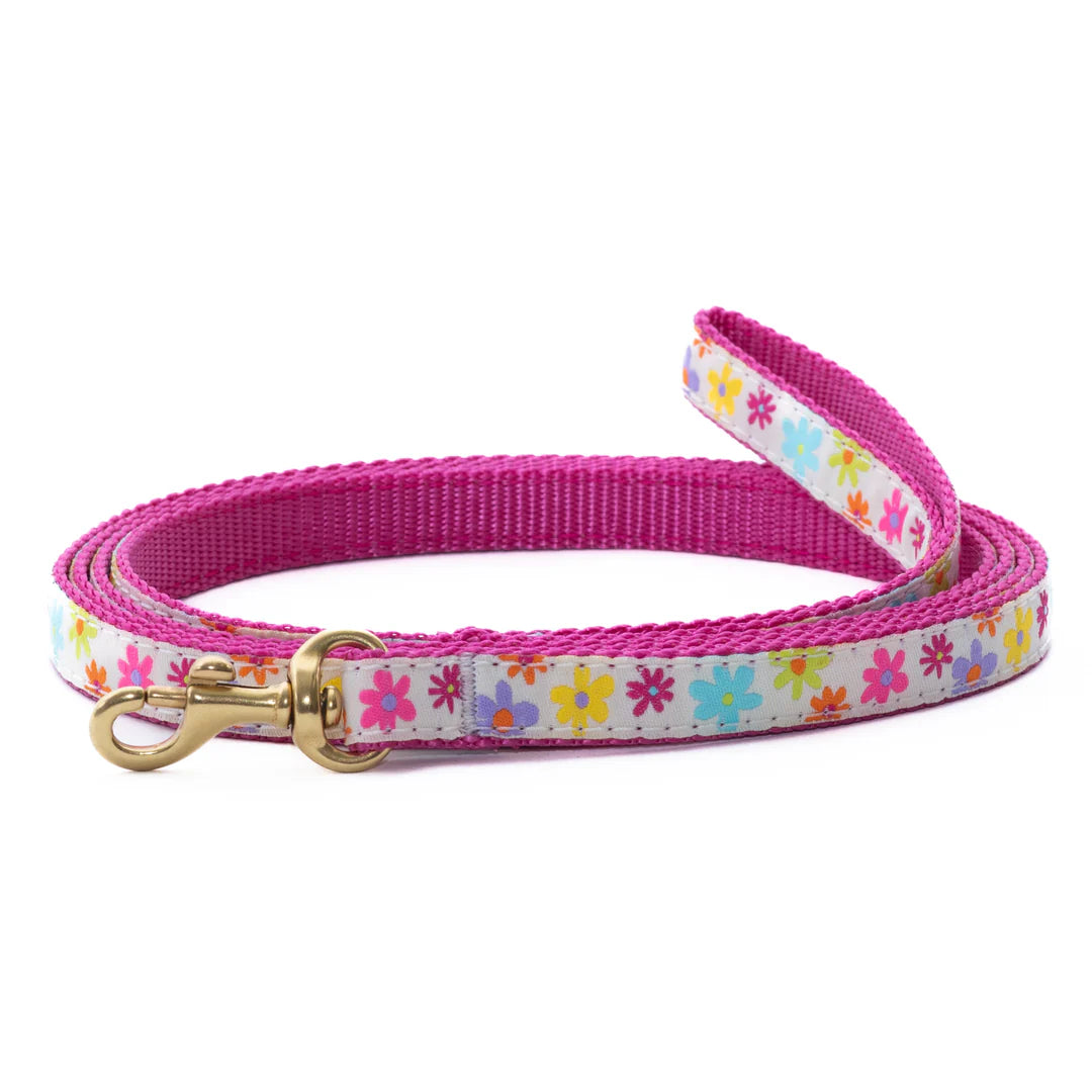 Up Country Spring Fever Leash