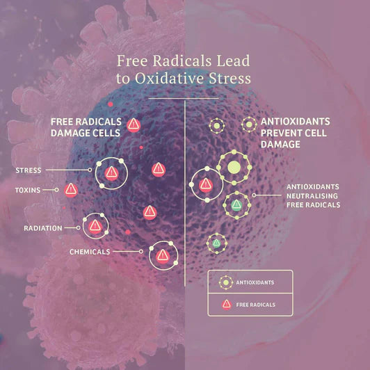 Adored Beast Apothecary Vital Defense Cellular Balance & Longevity 50g