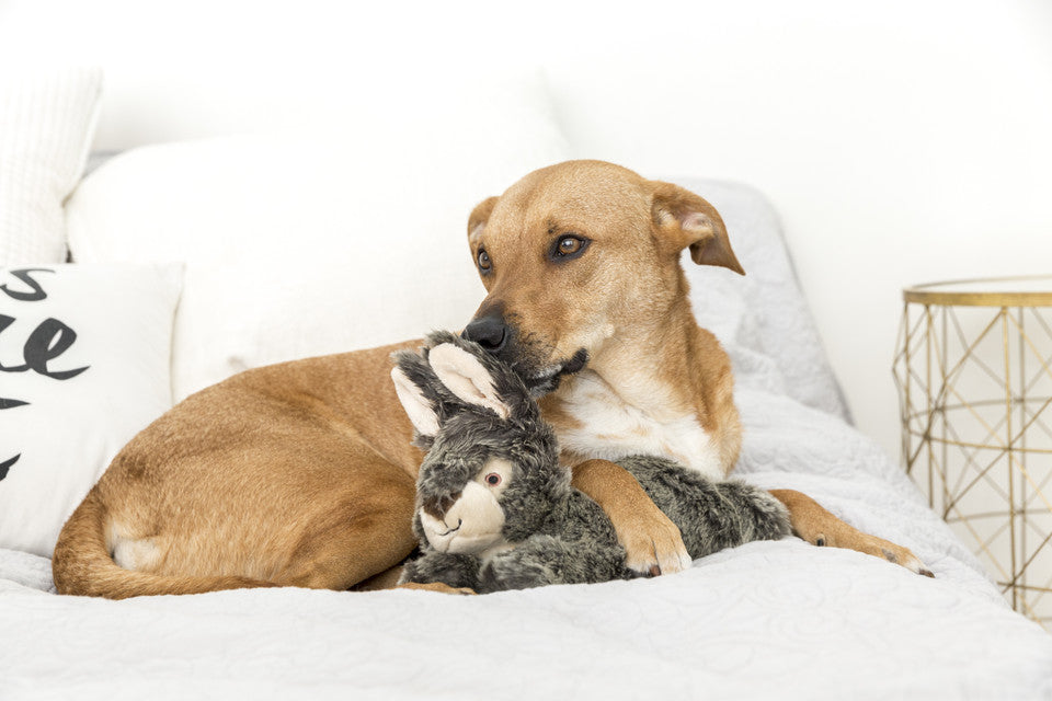 Fluff & Tuff Walter Wabbit L