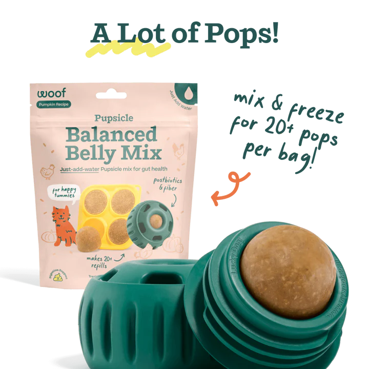 Woof Pupsicle Mix Balanced Belly 5.5oz