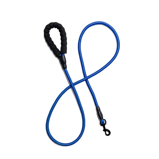Bark Appeal 6' Slip Lead