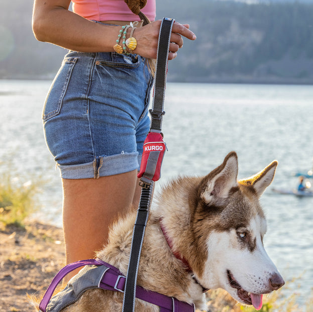 Kurgo Duty Bag - Dog Poop Bag Dispenser