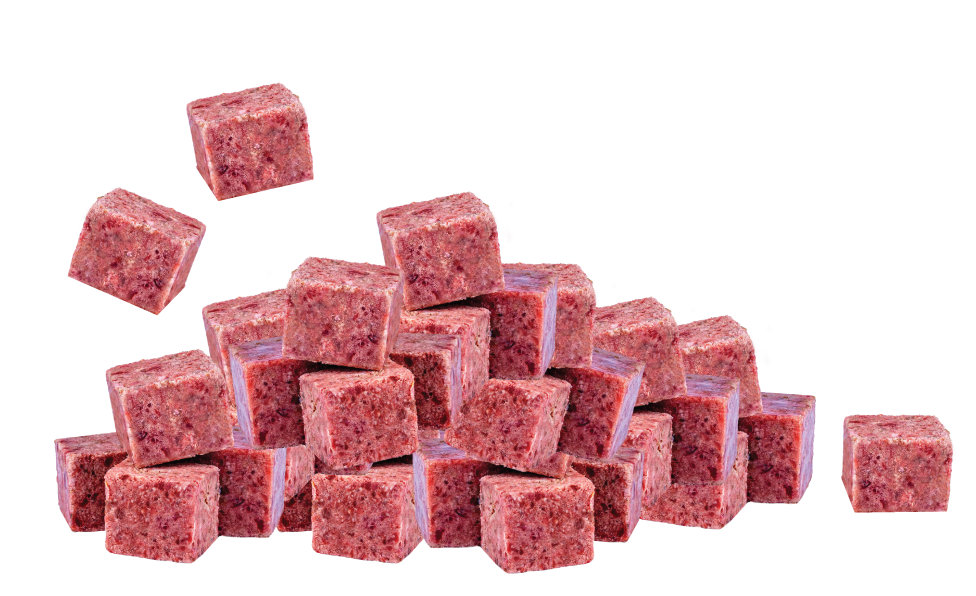 Fedwell Dog Frozen Diced Cubes Turkey
