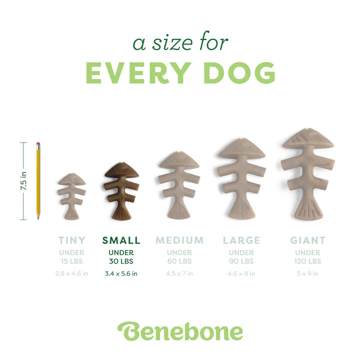 Benebone Jack Salmon Fishbone