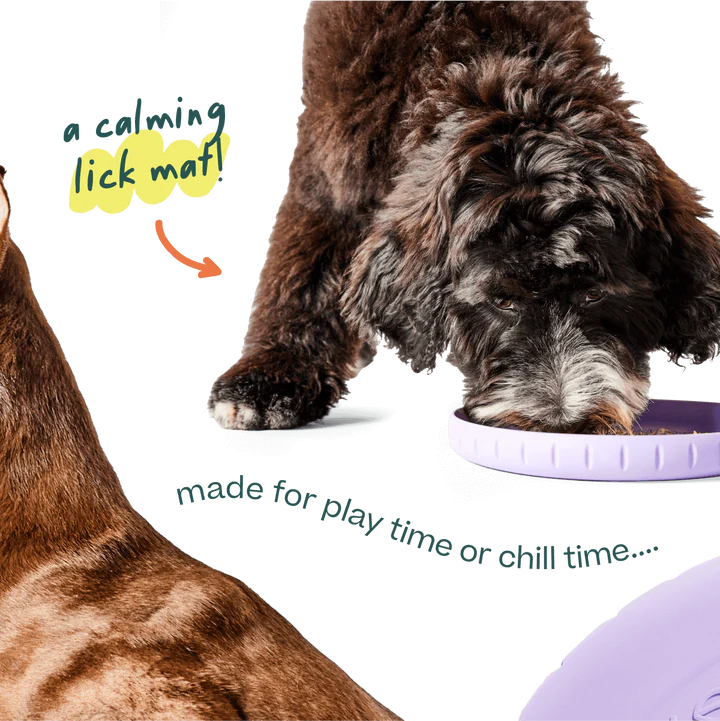 Woof Fly n' Feed