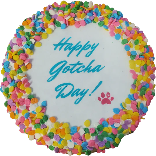 K9 Granola Factory Granola Cake Dog Treat