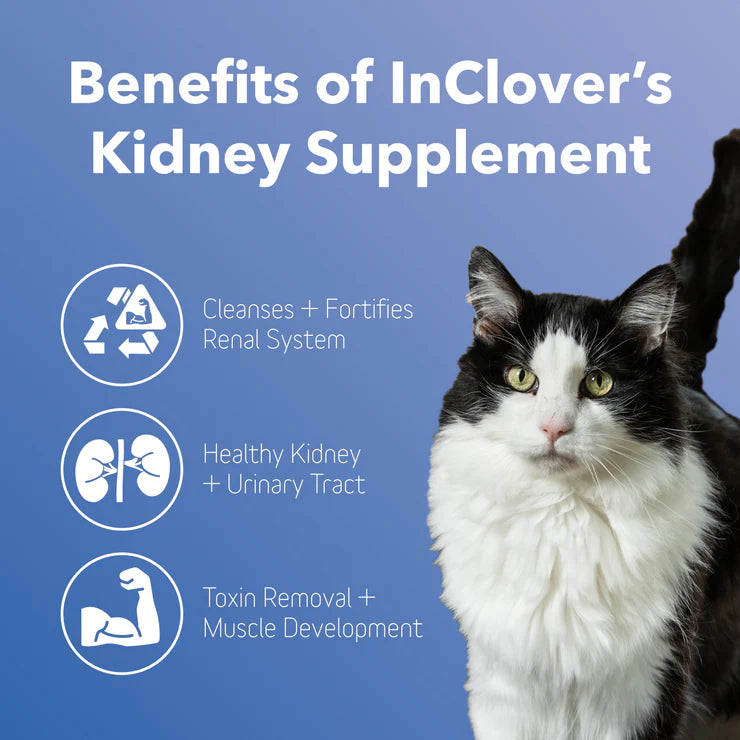 inClover BioRenal Kidney Support 100g
