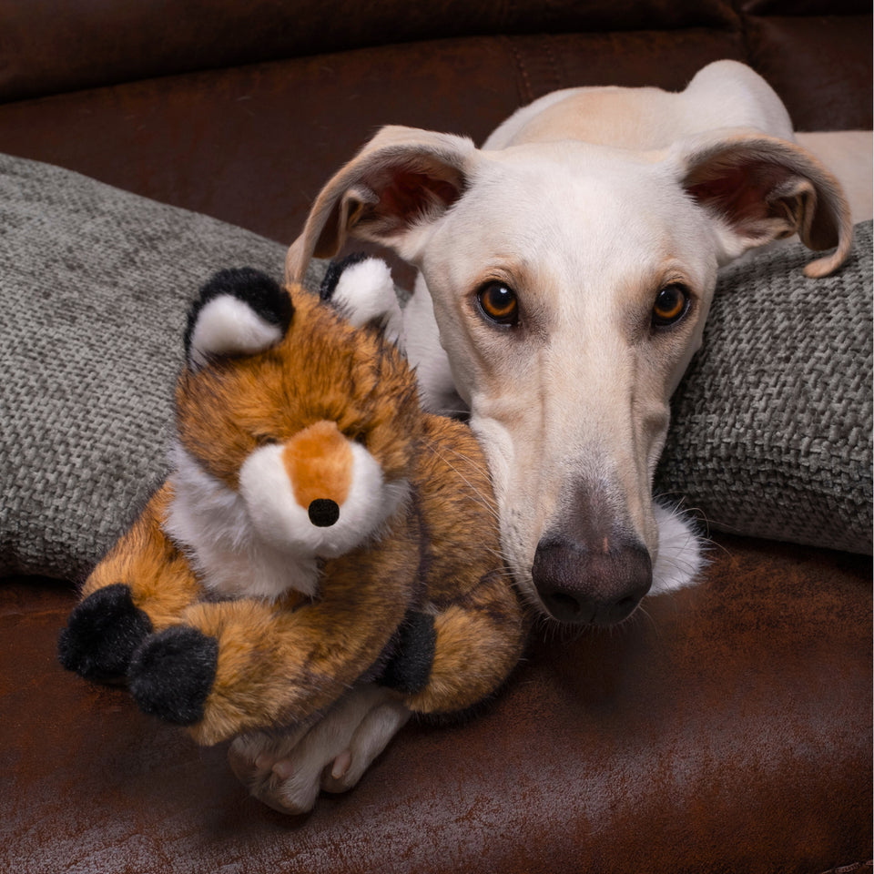 Fluff & Tuff Jasper Fox