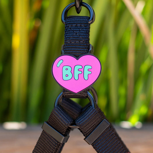 Jiby Dog Crew Charm BFF Dog