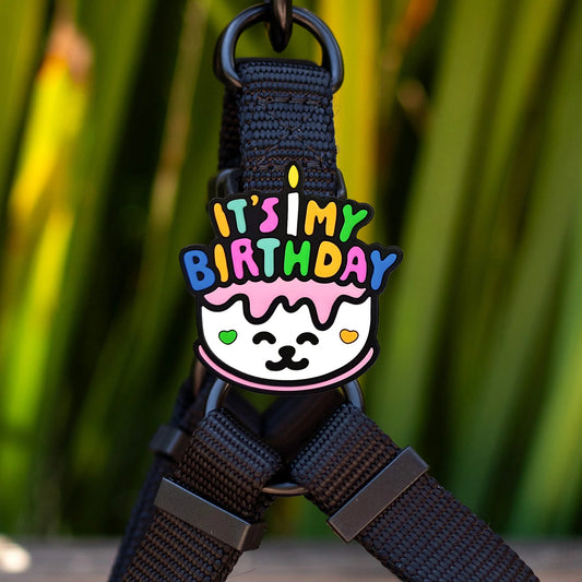 Jiby Dog Crew Charm Birthday Dog