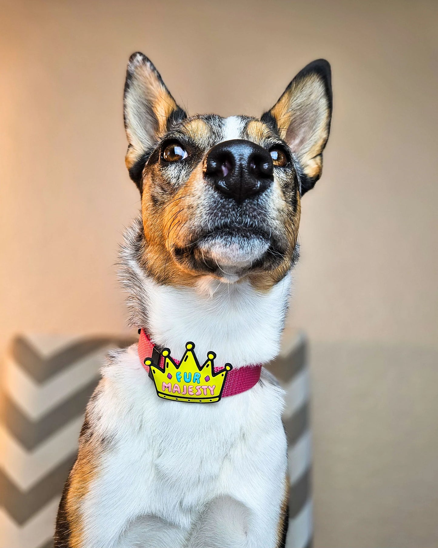 Jiby Dog Crew Charm Fur Majesty