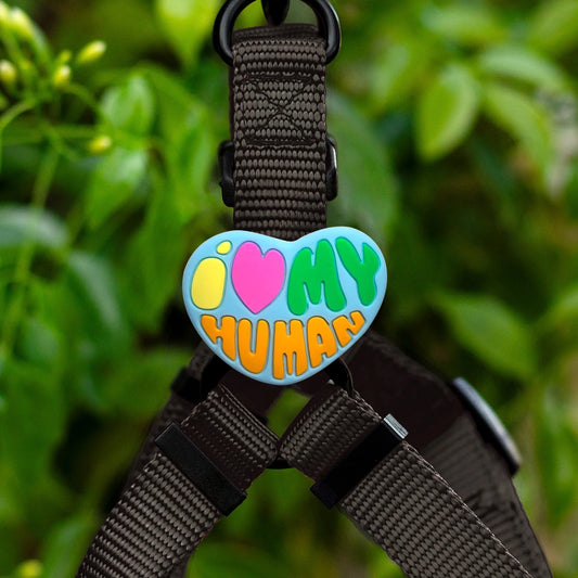 Jiby Dog Crew Charm I Love My Dog/Human