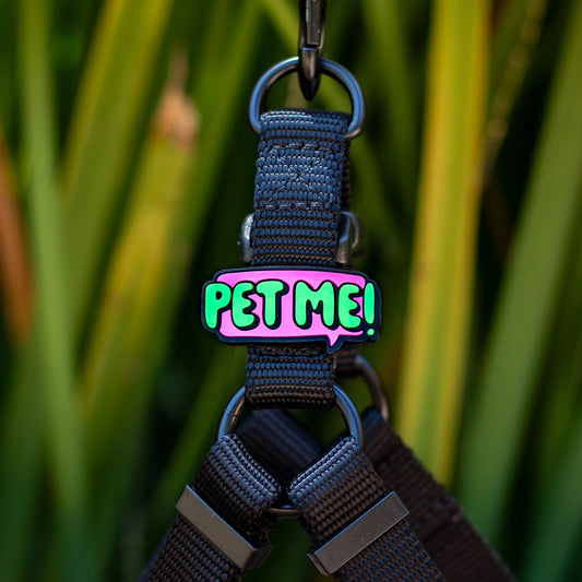 Jiby Dog Crew Charm Pet Me