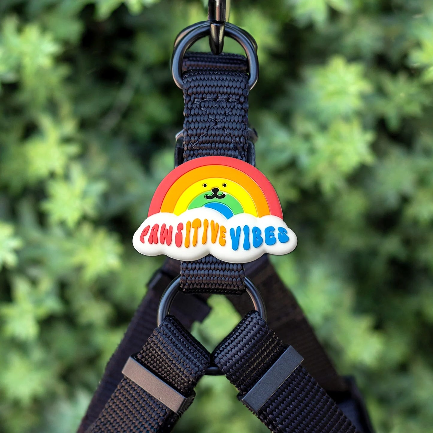 Jiby Dog Crew Charm Pawsitive Vibes Rainbow