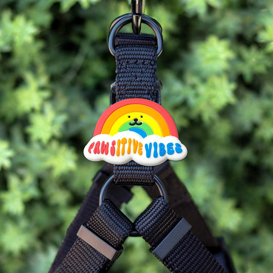 Jiby Dog Crew Charm Pawsitive Vibes Rainbow