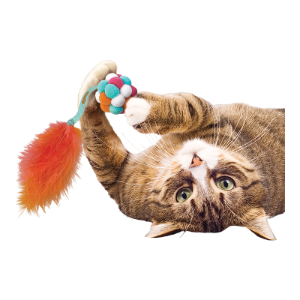 Kong Cat Active Bubble Ball Assorted