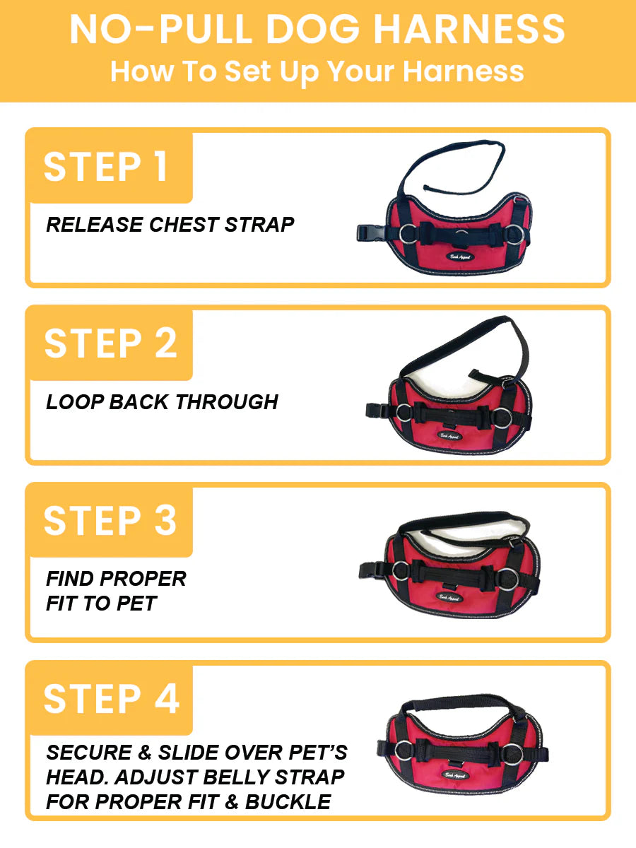 Bark Appeal Aqua Blue Reflective No Pull Harness