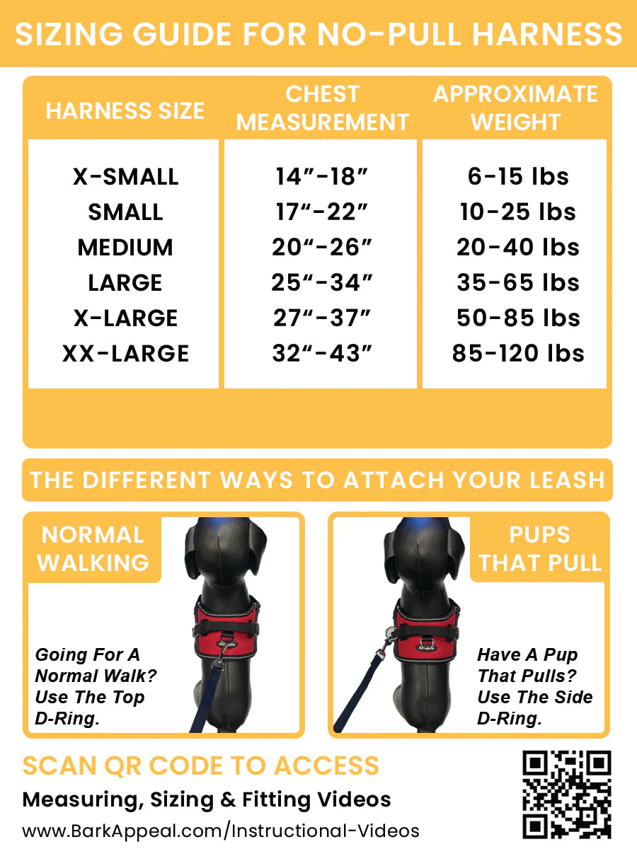 Bark Appeal Aqua Blue Reflective No Pull Harness