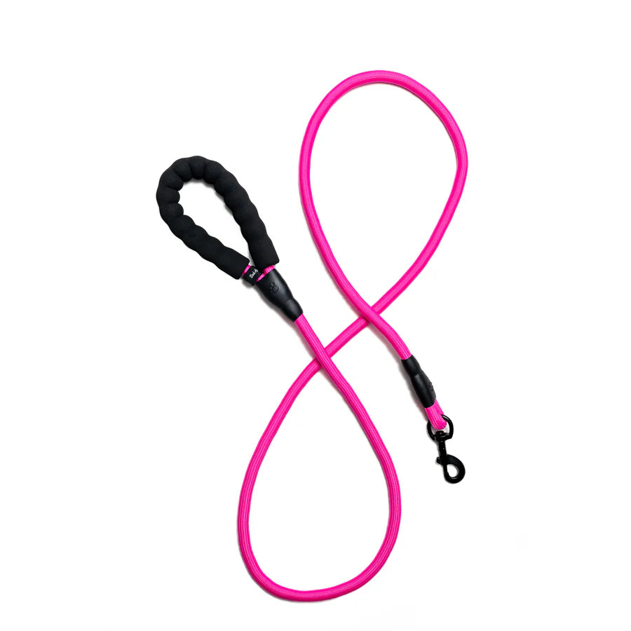 Bark Appeal 6' Slip Lead