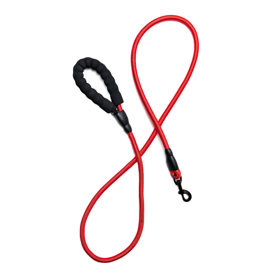 Bark Appeal 6' Slip Lead