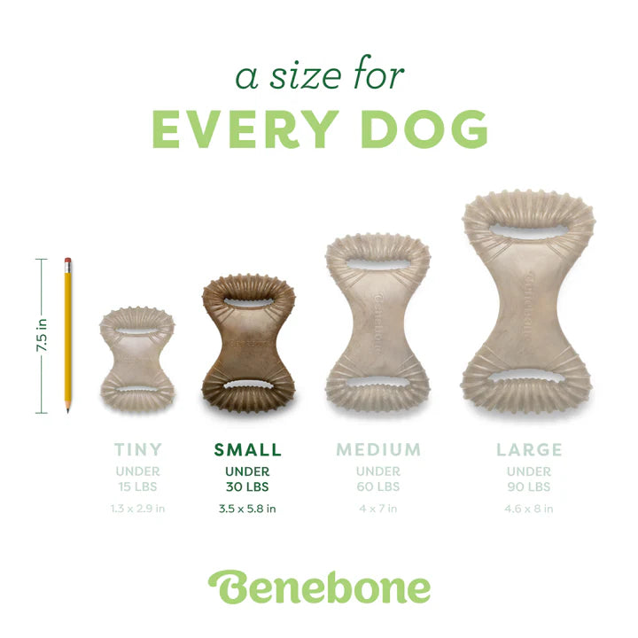 Benebone Dental Chew Bacon S