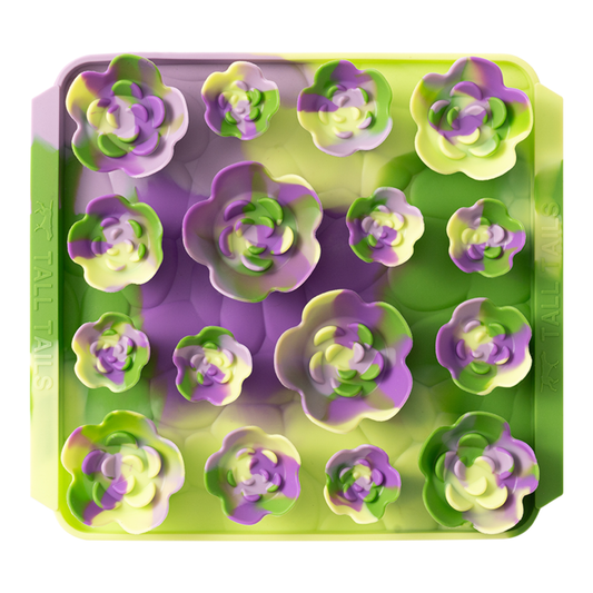 Tall Tails Foraging Mat Succulent Garden