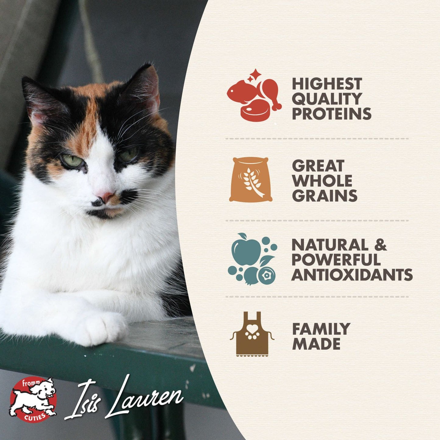Fromm Adult Gold Dry Cat Food