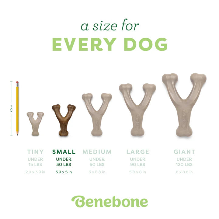 Benebone Wishbone Bacon Chew