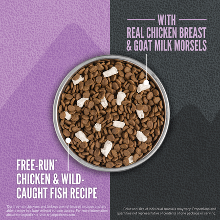 Orijen Cat Wild Reserve Kitten Recipe