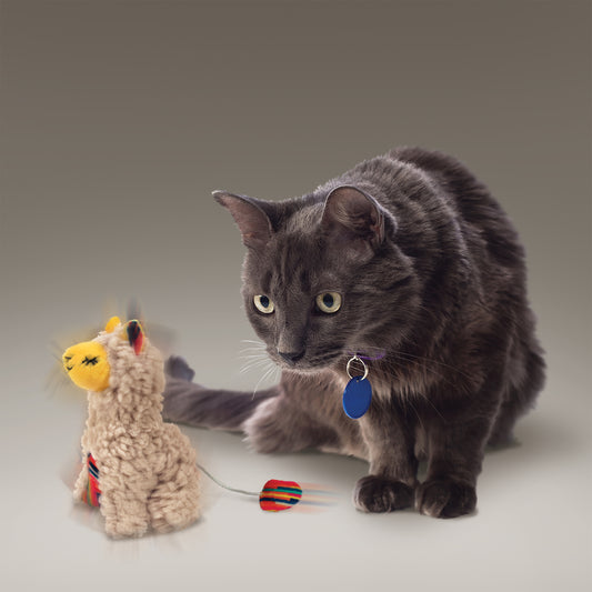 The KONG Company Softies Buzzy Llama Cat Toy