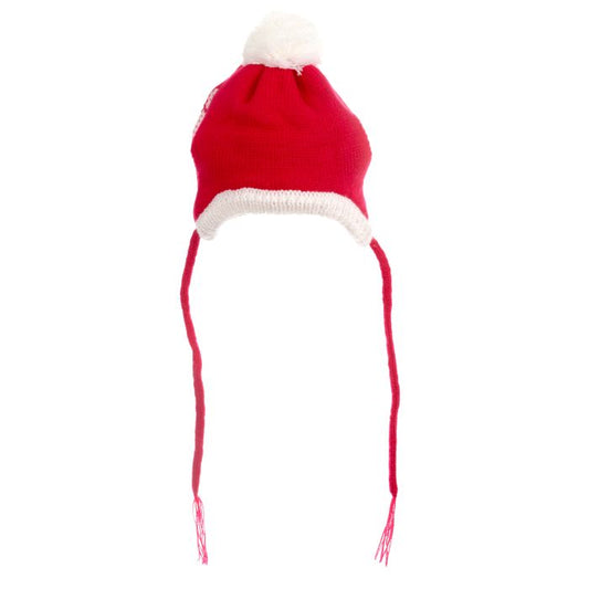 The Worthy Dog Santa Hat