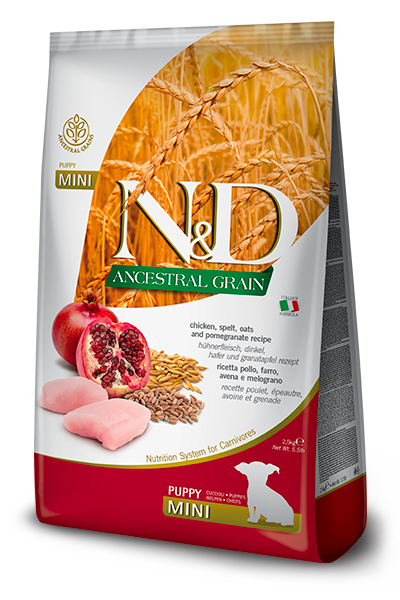 Farmina N&D Ancestral Grain Chicken Mini Puppy Food