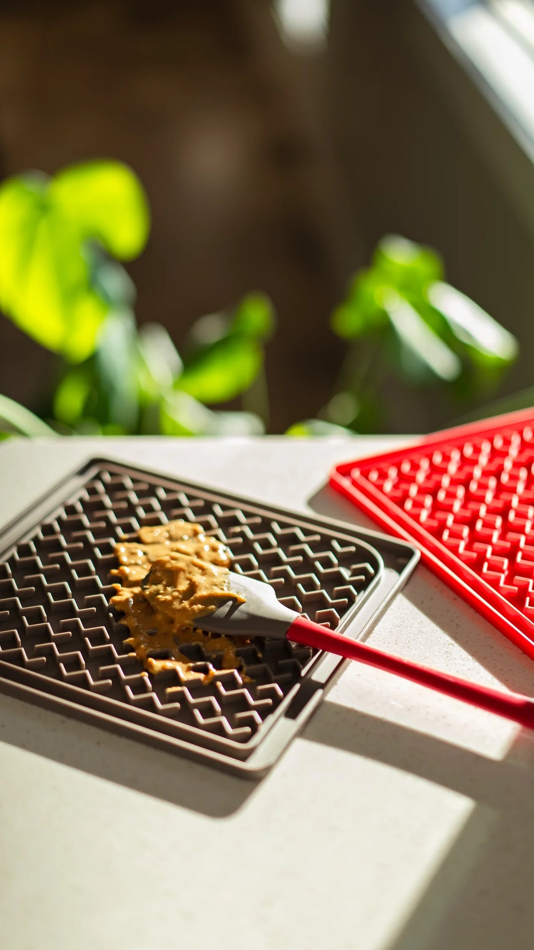 Messy Mutts Lick Mat with Spatula