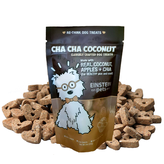 Einstein Pets Cha Cha Coconut Dog Treats 2 oz