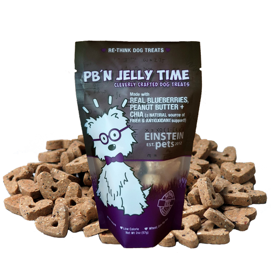 Einstein Pets Pb Jelly Time Dog Treats 2 oz